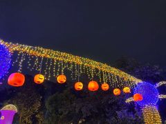 -南湖梦幻岛