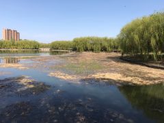 -东坝千亩湖公园