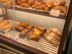 -多乐之日(公益西桥店)