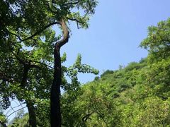 -秦岭风景区