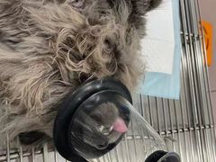 -荔康动物医院(康王北路店)