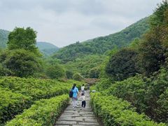 -桃花岭景区