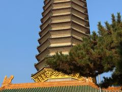 -八大处公园