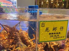 -新海渔港·胶东海鲜家常菜·家宴(奥体中心店)