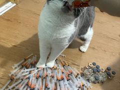 -爱侣宠医·鹦鹉专科·小型哺乳类·异宠专科(灵石路店)