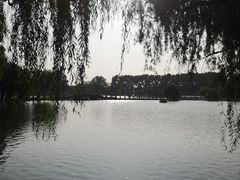 -二一九公园