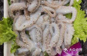 Large Octopus