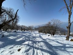 -太子岭滑雪场