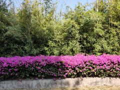 -中国移动南方基地