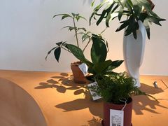 -fishtank鱼缸咖啡(三山街店)