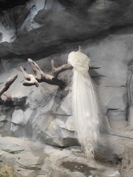 -Zoolung Zoolung动物主题公园(海信广场店)