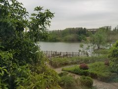 景观位-仙林宾馆-餐厅