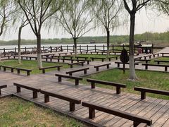 -西青郊野公园