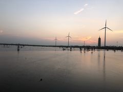 -碧海金沙