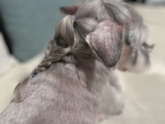 -FAELING PETS美天灵宠物(合生汇店)