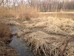 -蜀冈西峰生态公园