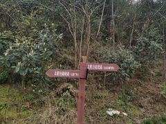 -大渡口区义渡公园