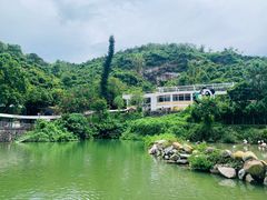 -石排湾郊野公园