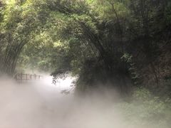 -川西竹海景区