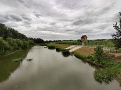 -东郊湿地公园
