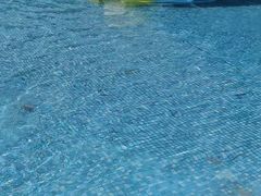 -重庆海昌加勒比海水世界