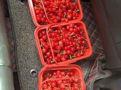 -樱桃山旅游景区