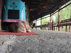 -丝绸小镇荻港古村