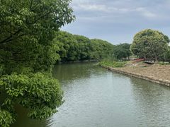 -同里国家湿地公园