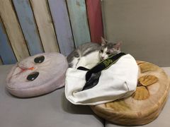 -小时光咖啡馆(开森度假森林店)