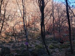 -棋盘山风景区