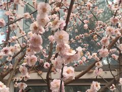 -北京鹫峰国家森林公园