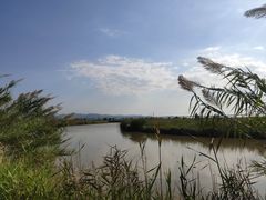 -漩门湾国家湿地公园