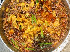 -胖子鱼·油泼甘谷辣子炝活鱼(秦州407店)