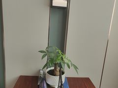 -海泰食府·新鲁菜·家宴(总部基地店)