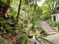 -十八棵（老龙井）御茶园(老龙井店)