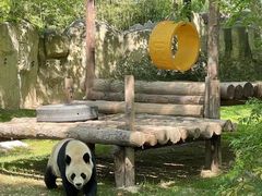 -上海野生动物园