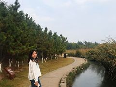 -前关湿地公园