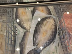-国家五钻酒家·西樵旺阁渔村(西樵店)