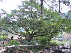 -广州市石门国家森林公园