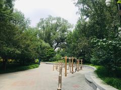 -北极寺公园