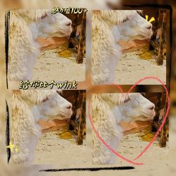 -酷嗒动物文化乐园(cutezoo西溪乐天城店)