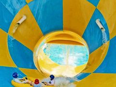 -重庆海昌加勒比海水世界