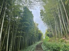 -良渚古城遗址公园