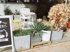 -隹木咖啡馆(宝龙广场店)