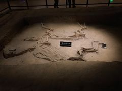 -洛阳周王城天子驾六博物馆