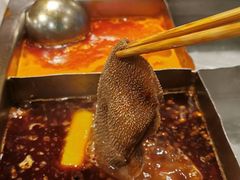 -海底捞火锅(劲松店)