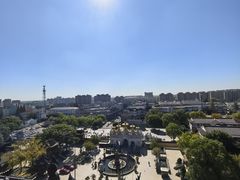 -上海东林寺(金山区)