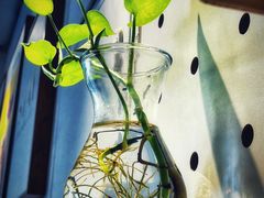 -漫蔬•台北蔬食小馆VEGGIEBOIL(朝晖店)