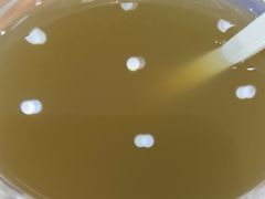 -光头卤(光谷创业街店)