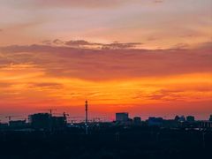 -春花秋色城市公园